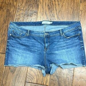 Torrid shorty shorts